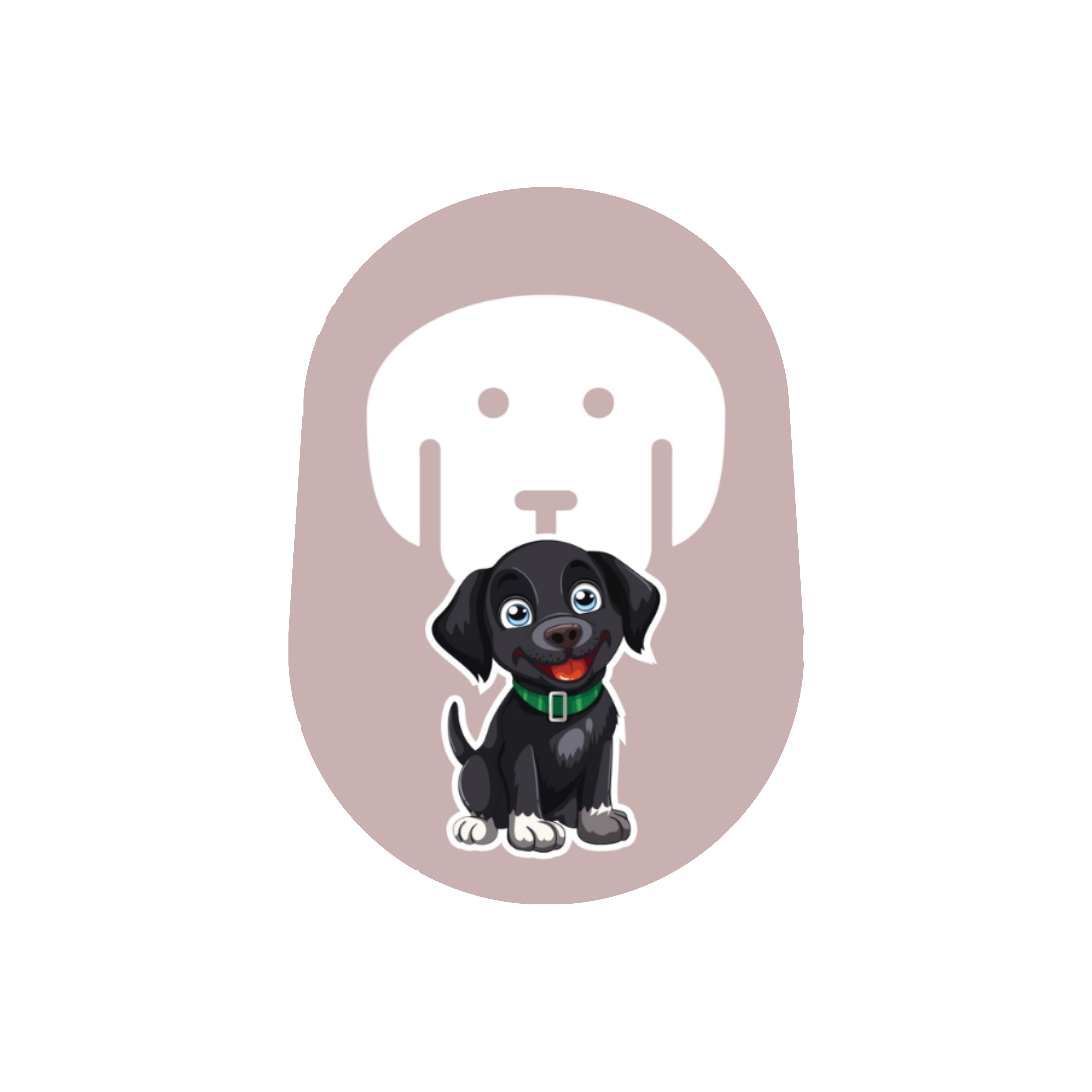PAWS