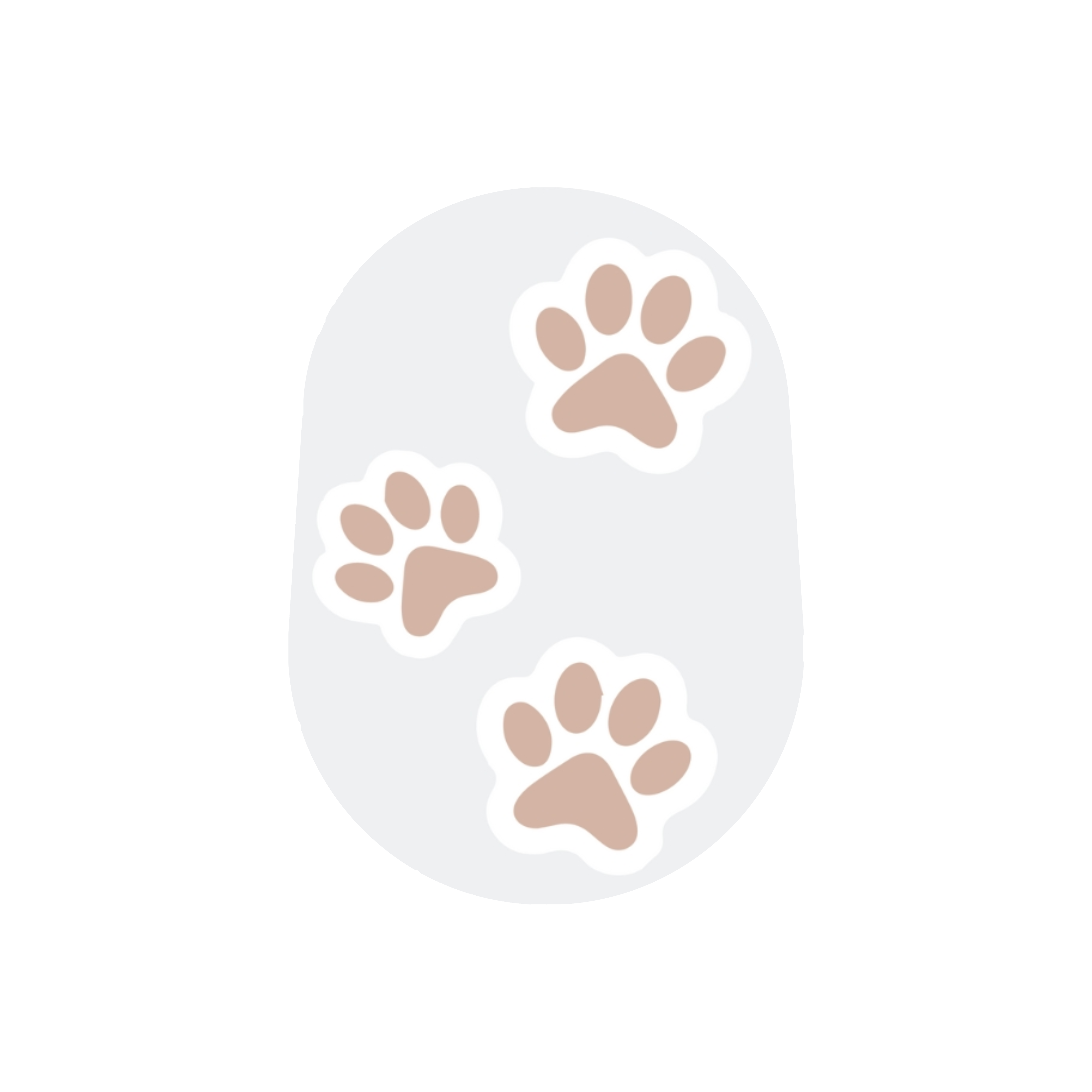 PAWS