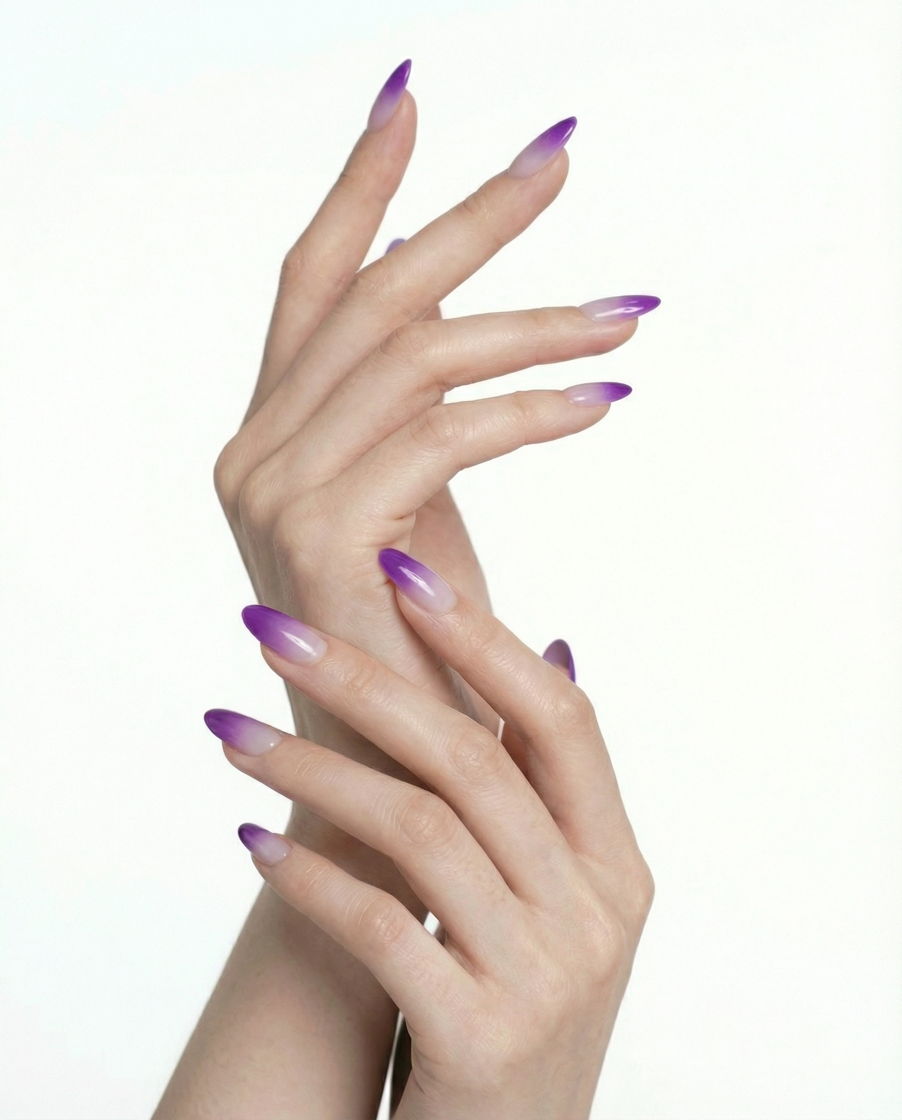 GRADIENT PURPLE